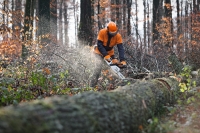 Есенна промоция на уреди STIHL